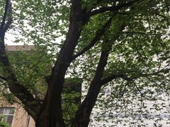 -西安交通大学(雁塔校区)