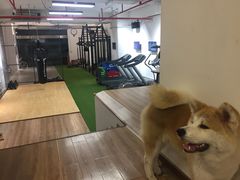 -YCHL Studios健身工作室(市二宫店)