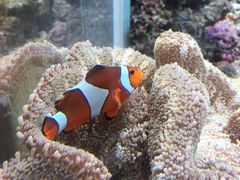 -鹿儿岛水族馆