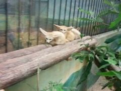-昆明动物园