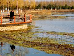 -东郊湿地公园