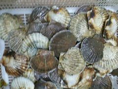 android_upload_pic-老虎滩船说·海胆水饺·大连海鲜(老虎滩店)