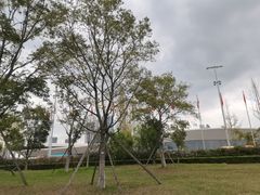 -中国西部国际博览城