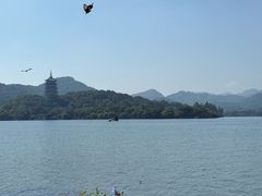 -柳莺湖上·湖景餐厅·江南菜(西湖店)