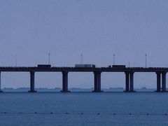 -宝安西湾红树林湿地公园