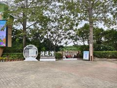-大湾区中央湿地公园