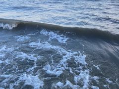 -椰风寨