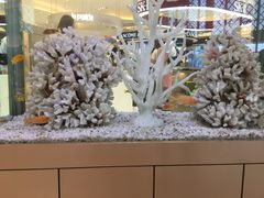 -王权免税店(普吉市区店)