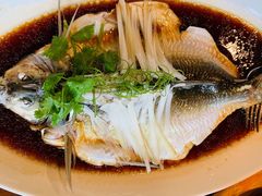 钱湖四宝-朋鱼-宁波柏悦酒店·钱湖渔港