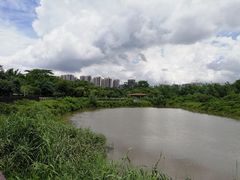 -大亚湾红树林城市湿地公园