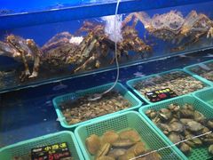 -船梆煮•蒸汽海鲜·炉火烤肉(五四广场店)