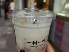 -一树一叶·福建茶档(石鼓路店)