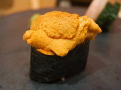 紫海胆马粪海胆-橼舍鮨青木