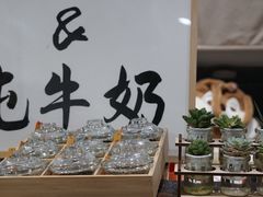 -南澳岛打卡果汁冰公司