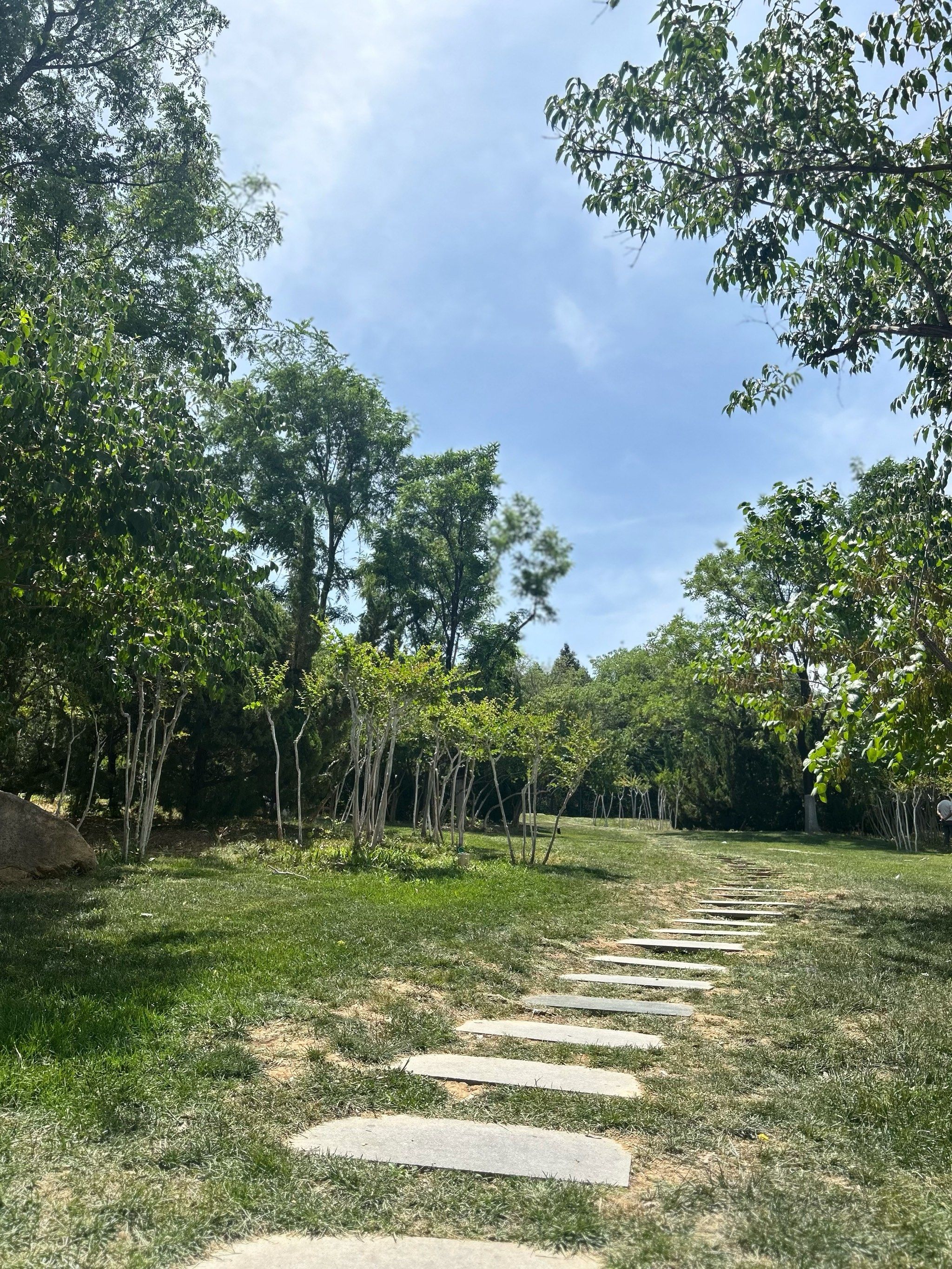 城市公园之马山坡景区,带娃爬山好地方