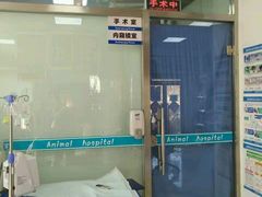 -邢大夫动物医院