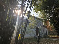 -堤角公园