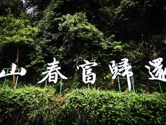 -严子陵钓台(富春江小三峡)