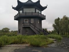 -盐城丹顶鹤湿地生态旅游区