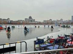-莲花池公园
