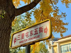 -三里屯东五街银杏大道