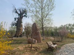 -杨柳青庄园