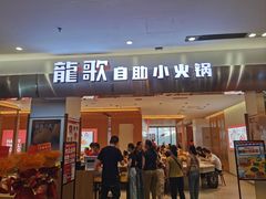 -龍歌自助小火锅(市南金茂湾店)