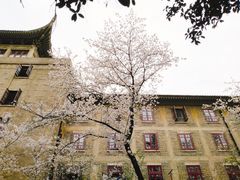 -武汉大学-樱园