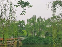 -泰州凤城河风景区-泰山公园