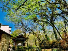 -西溪南古村落