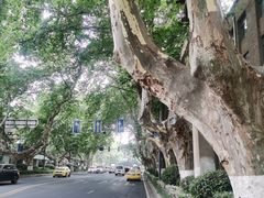 -南京钟山宾馆(江苏省会议中心)