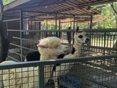 -宁波野生动物园