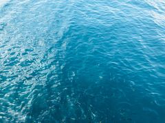 -亚龙湾海底世界