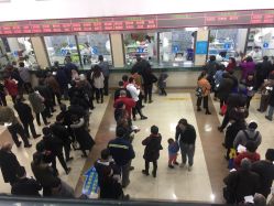 -上海市浦东新区人民医院儿科