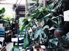 -懒鱼时光馆(沙坪坝店)