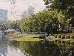 -荔湾湖公园