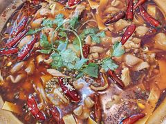 肥肠牛蛙砂锅-马头巷·食景园(苏州总店)