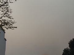 -洋湖国家湿地公园