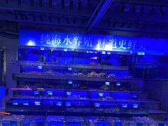 -青蓬蒸汽海鲜·深圳老字号·团建聚会(壹方城店)