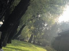 -晋祠公园