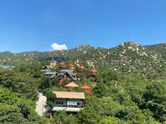 -清境桃源