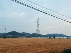 -李东农庄(中南百草园地标店)