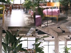 -腾爱熊猫咖啡生活馆(老东门店)