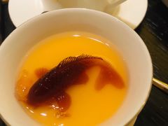 -甄御•海鲜新青岛菜(麦岛店)