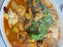 -煲来饱去冷水鱼