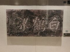 -白鹤梁水下博物馆