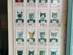 -喵屿·大理花园猫咖