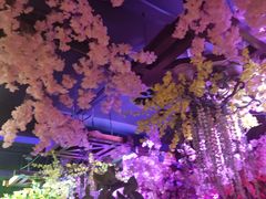 -网红丛林音乐烤吧