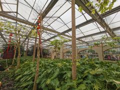 -南宫五洲植物乐园