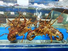 -张树军海鲜(王府壹号店)